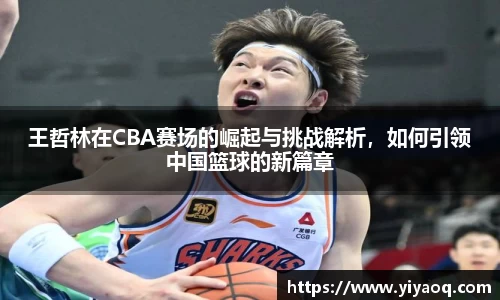 王哲林在CBA赛场的崛起与挑战解析，如何引领中国篮球的新篇章